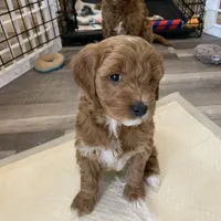 processed/6521ca6b-b048-4813-a17a-04481191af6e/facility/61e0307f-9c27-4ed3-9741-5ed9091f15e3