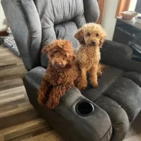 processed/6521ca6b-b048-4813-a17a-04481191af6e/facility/7038edcb-9dd4-41d3-85ae-553651da5f02