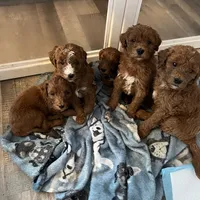 processed/6521ca6b-b048-4813-a17a-04481191af6e/facility/80923cc8-67fb-4f08-94a8-0e946981188d