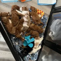 processed/6521ca6b-b048-4813-a17a-04481191af6e/facility/85f5f541-a94e-4fc2-965c-f408a9ff911d