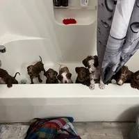 processed/6521ca6b-b048-4813-a17a-04481191af6e/facility/af5e4e71-7af6-4f3b-8350-5dc3cc3601e4