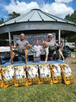 Liberty, a female Irish Wolfhound for sale in Cottageville, SC – Photo 5 of 6