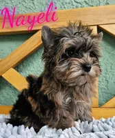 processed/6521fd29-7d31-4d9f-8830-8a6614c967f9/listing/8f9b5c2c-f720-4fb9-b66d-b1979aed6cde/04865584-1501-4e11-8699-5d17e53bc614