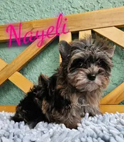 processed/6521fd29-7d31-4d9f-8830-8a6614c967f9/listing/8f9b5c2c-f720-4fb9-b66d-b1979aed6cde/30c29e10-088a-4ffa-ad80-8cd2ba54a784