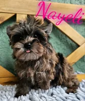 processed/6521fd29-7d31-4d9f-8830-8a6614c967f9/listing/8f9b5c2c-f720-4fb9-b66d-b1979aed6cde/665b9818-b660-4be4-81e4-923749804e21