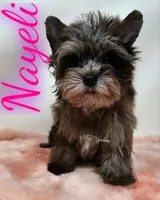 processed/6521fd29-7d31-4d9f-8830-8a6614c967f9/listing/8f9b5c2c-f720-4fb9-b66d-b1979aed6cde/6b737c92-6562-4700-bbf7-5eed0228e188