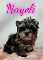 processed/6521fd29-7d31-4d9f-8830-8a6614c967f9/listing/8f9b5c2c-f720-4fb9-b66d-b1979aed6cde/98df260c-8dcd-499b-8000-20c0bf192bd4