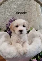 processed/6532c394-6ed8-4eb0-b42c-7e768508326c/listing/106429e2-041a-4bc6-8910-ca4394045bd7/2de47930-2053-4b90-802c-7945e8ff4a0f