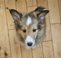 processed/653c0ae3-d555-42c7-a827-f2d861d54ea9/listing/3198721a-799c-4d4f-a159-7f1cae9ef88d/843b485f-a638-4e5b-9963-a6744a8b90e3