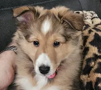 processed/653c0ae3-d555-42c7-a827-f2d861d54ea9/listing/3198721a-799c-4d4f-a159-7f1cae9ef88d/c501a507-8bf3-4b51-9b9d-3a2bab11beb3