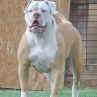 processed/653ebe80-048a-4cd6-afd9-03cfd9a3e36a/facility/1b0c5508-9ca5-4e21-9fc0-d14f52bbd427