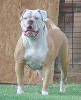 processed/653ebe80-048a-4cd6-afd9-03cfd9a3e36a/facility/1b0c5508-9ca5-4e21-9fc0-d14f52bbd427