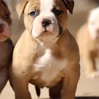 processed/653ebe80-048a-4cd6-afd9-03cfd9a3e36a/facility/24e71bae-fdfa-487a-8189-4b8e808dc81d