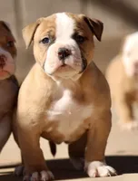 processed/653ebe80-048a-4cd6-afd9-03cfd9a3e36a/facility/24e71bae-fdfa-487a-8189-4b8e808dc81d