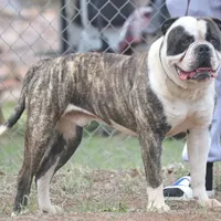 processed/653ebe80-048a-4cd6-afd9-03cfd9a3e36a/facility/3eeb1e5e-d03a-4fff-aafd-5a049c7e552e