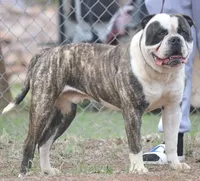 processed/653ebe80-048a-4cd6-afd9-03cfd9a3e36a/facility/3eeb1e5e-d03a-4fff-aafd-5a049c7e552e