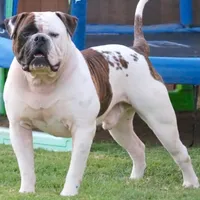 processed/653ebe80-048a-4cd6-afd9-03cfd9a3e36a/facility/417d7aa6-03ae-4da4-9f49-4bee5cc3a581