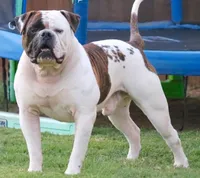 processed/653ebe80-048a-4cd6-afd9-03cfd9a3e36a/facility/417d7aa6-03ae-4da4-9f49-4bee5cc3a581