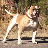 processed/653ebe80-048a-4cd6-afd9-03cfd9a3e36a/facility/6fb3da06-2954-412e-941c-2895ba799829