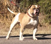 processed/653ebe80-048a-4cd6-afd9-03cfd9a3e36a/facility/6fb3da06-2954-412e-941c-2895ba799829