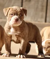 processed/653ebe80-048a-4cd6-afd9-03cfd9a3e36a/facility/8b08c4dc-8d3b-46f0-97a6-1f29baae9761