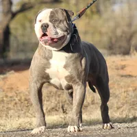 processed/653ebe80-048a-4cd6-afd9-03cfd9a3e36a/facility/e59b781b-c489-434b-a813-00a43fc8c423