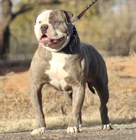 processed/653ebe80-048a-4cd6-afd9-03cfd9a3e36a/facility/e59b781b-c489-434b-a813-00a43fc8c423