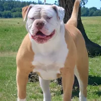 processed/653ebe80-048a-4cd6-afd9-03cfd9a3e36a/facility/e6f1c6fb-c3f5-4a82-820b-8855651910f8