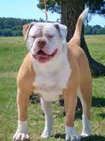 processed/653ebe80-048a-4cd6-afd9-03cfd9a3e36a/facility/e6f1c6fb-c3f5-4a82-820b-8855651910f8