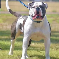 processed/653ebe80-048a-4cd6-afd9-03cfd9a3e36a/facility/e8a6a4f5-257f-4536-98ff-c494a411210a