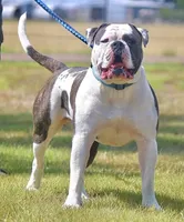 processed/653ebe80-048a-4cd6-afd9-03cfd9a3e36a/facility/e8a6a4f5-257f-4536-98ff-c494a411210a