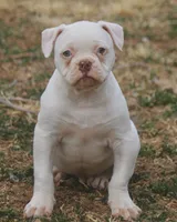 processed/653ebe80-048a-4cd6-afd9-03cfd9a3e36a/listing/81f9def5-cb25-42f4-bf75-fa9a4bd3533c/16dbc831-11f9-464c-b364-6f2565b2c248