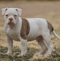 processed/653ebe80-048a-4cd6-afd9-03cfd9a3e36a/listing/81f9def5-cb25-42f4-bf75-fa9a4bd3533c/30e898f9-0810-4bfd-8bcb-facb65afe946