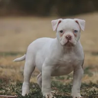 processed/653ebe80-048a-4cd6-afd9-03cfd9a3e36a/listing/81f9def5-cb25-42f4-bf75-fa9a4bd3533c/619c4a33-f703-4179-bcc3-fa58787569f7