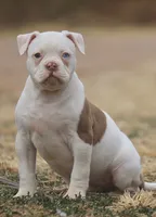 processed/653ebe80-048a-4cd6-afd9-03cfd9a3e36a/listing/81f9def5-cb25-42f4-bf75-fa9a4bd3533c/bb965c7b-df0c-4278-ad11-19eef53542a5