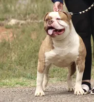 processed/653ebe80-048a-4cd6-afd9-03cfd9a3e36a/listing/da5c00e9-bed3-43f1-bd64-73b3f28ad03b/8caea5c2-3dfc-44a1-8a40-0716ce322806