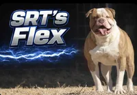 processed/653ebe80-048a-4cd6-afd9-03cfd9a3e36a/listing/da5c00e9-bed3-43f1-bd64-73b3f28ad03b/f1bcaab0-d917-4863-aabd-44ee1e4d47f8