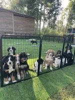 Facility photo