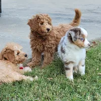 processed/65422b40-d9c5-4f4b-baee-aac8bdf21cb6/facility/2347116f-e42a-4a47-a5d4-b2811d2d4c08