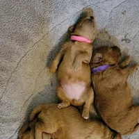 processed/65422b40-d9c5-4f4b-baee-aac8bdf21cb6/facility/3162bfeb-2ba9-4d31-b9e4-cbb9f8dae6b3