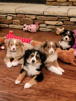 processed/65422b40-d9c5-4f4b-baee-aac8bdf21cb6/facility/5997ce05-3024-4ae1-bd61-3b13ebf4ae01