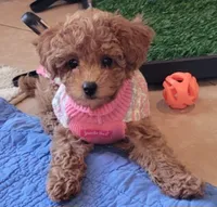 processed/65422b40-d9c5-4f4b-baee-aac8bdf21cb6/facility/e6b91e4c-a613-4c3e-a9cc-d56b69b64e65