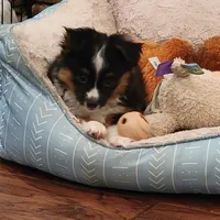 processed/65422b40-d9c5-4f4b-baee-aac8bdf21cb6/facility/f0e6ebf5-343b-4f0e-a8e6-836d6820634d