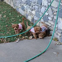 processed/65422b40-d9c5-4f4b-baee-aac8bdf21cb6/facility/fd31b607-3a0b-4759-8b56-90ab55046849