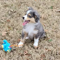 processed/65422b40-d9c5-4f4b-baee-aac8bdf21cb6/listing/4a1ae67c-bdc7-48b5-b37c-b13721d7bf2c/1819ce7a-602a-4ad5-a358-32bcf18a5a1b