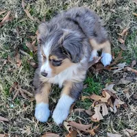 processed/65422b40-d9c5-4f4b-baee-aac8bdf21cb6/listing/4a1ae67c-bdc7-48b5-b37c-b13721d7bf2c/56a761ed-00d6-4b4f-8ed4-abe96e95f013