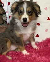 processed/65422b40-d9c5-4f4b-baee-aac8bdf21cb6/listing/4a1ae67c-bdc7-48b5-b37c-b13721d7bf2c/855c687a-ca3a-4304-a6e7-7c91e6841798