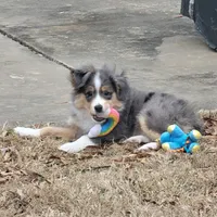 processed/65422b40-d9c5-4f4b-baee-aac8bdf21cb6/listing/4a1ae67c-bdc7-48b5-b37c-b13721d7bf2c/e826e1ce-d483-49fb-92af-f162aacfe73d