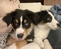 processed/655c5997-814e-47e9-8325-fb47a81c0d80/listing/964a0aa1-db29-4752-8858-a152f4c12be0/ee3c007d-447b-43ab-bc75-c4c7e8f171b7