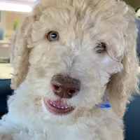 processed/656372fa-cb17-46a8-be22-bddf1c831342/facility/13635484-fb80-4db2-ae6e-798a11e97b75